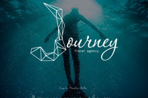 Логотип для туристического агентства