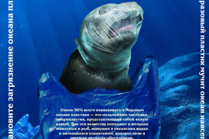 Плакат