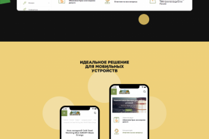 Сайт магазина "Кругозоров"