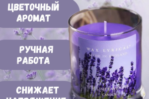 Инфографика