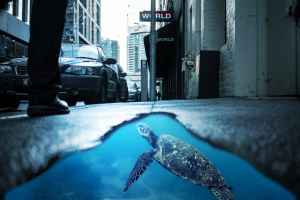 Коллаж "Черепаха"