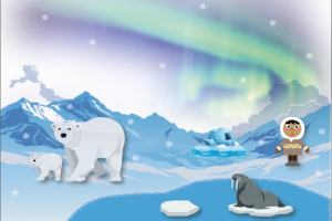 Коллаж "Умка"