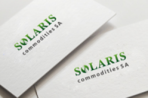 Работа 1997743