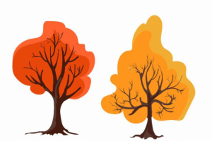 Осень Деревья