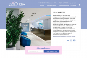 Дизайн сайта SPA-комплекса