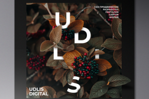 UDLIS DIGITAL