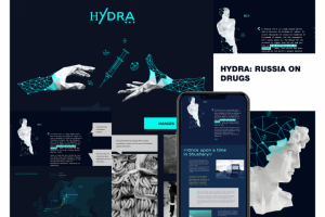 Hydra: Интерактивный исследовательский проект