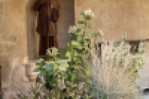 Во дворике замка