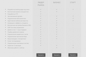 Прототип для компании Dodoweb