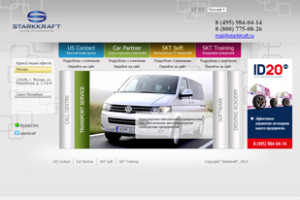 Онлайн консультации и обучение Клиент: Starkkraft