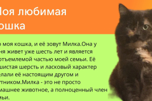 Презентация