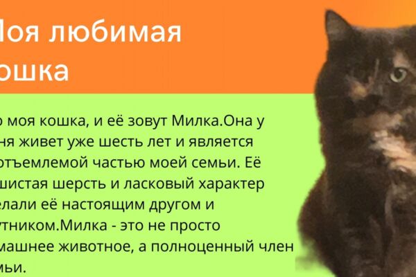 img4594579.png