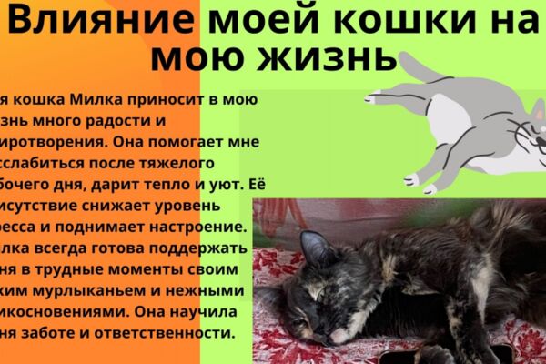 img4594577.png
