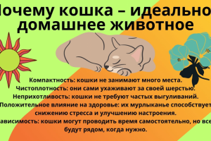 Презентация