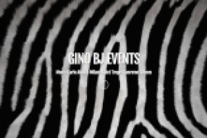 Агенство Gino BJ Events