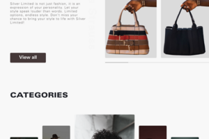 Silver / E-commerce