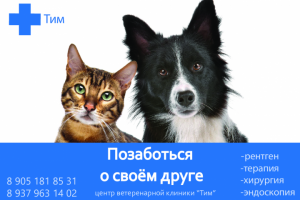 Ветеринарная клиника