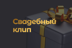Свадебный клип (полный день)
