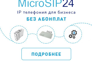 MicroSIP24