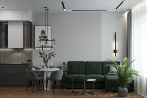 Кухня гостиная