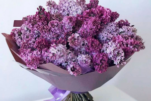 Букет сирени