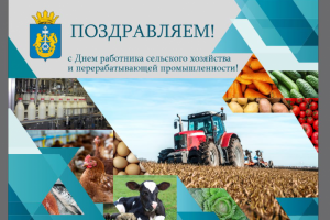 Поздравительны баннер-фотозона.