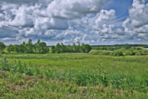 Пейзаж с обработкой