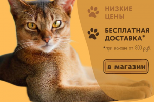 Креатив для зоомагазина ЧЕТЫРЕ ЛАПЫ