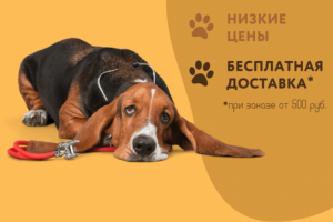 Креатив для зоомагазина ЧЕТЫРЕ ЛАПЫ