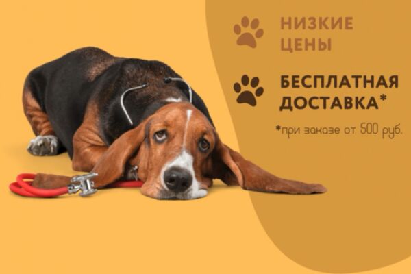 img4493037.png