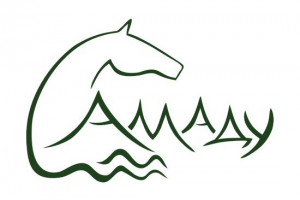 Логотип туристической компании