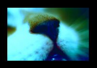 img945297.png