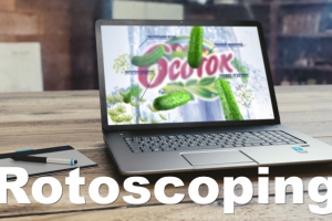 Кейс №1. «Ротоскопирование»
