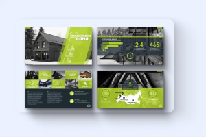 Презентация