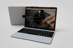 Природное целительство | Ayun Healing