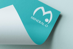 Разработка логотипа | Logotype