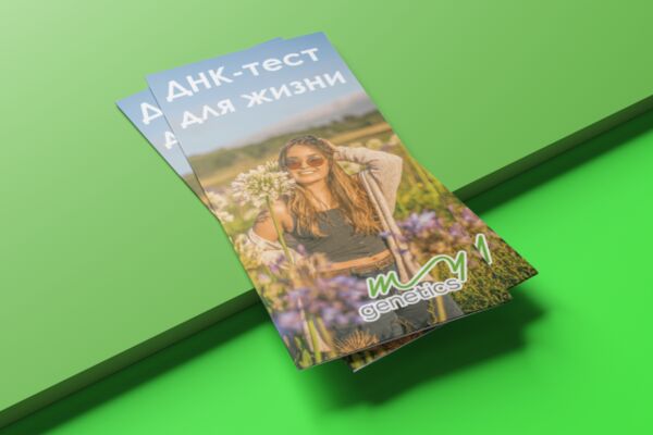 img4289321.png