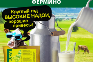 Инфографика ОЗОН и ВБ