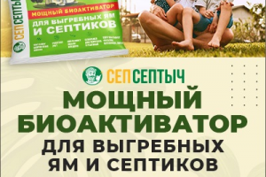 Инфографика ОЗОН и ВБ