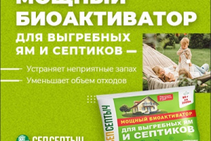 Инфографика ОЗОН и ВБ