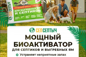 Инфографика ОЗОН и ВБ