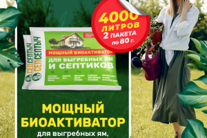 Инфографика ОЗОН и ВБ