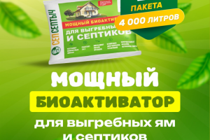 Инфографика ОЗОН и ВБ