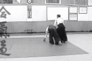 Aikido. Exciting September 2012