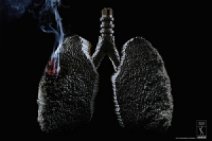 Дипломная работа "Социальная реклама: управленческий аспект обе