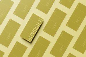 Логотип для бьюти салона NAPUDRILIS