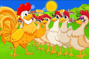 ЦЫПА ролик для ТВ