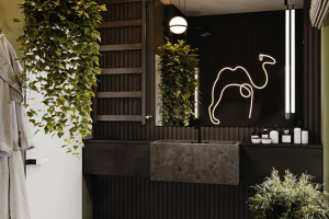 Визуализация санузла