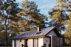 Коттедж в сосновом лесу