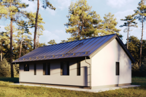 Коттедж в сосновом лесу